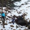 tranquille dans la foret elfique